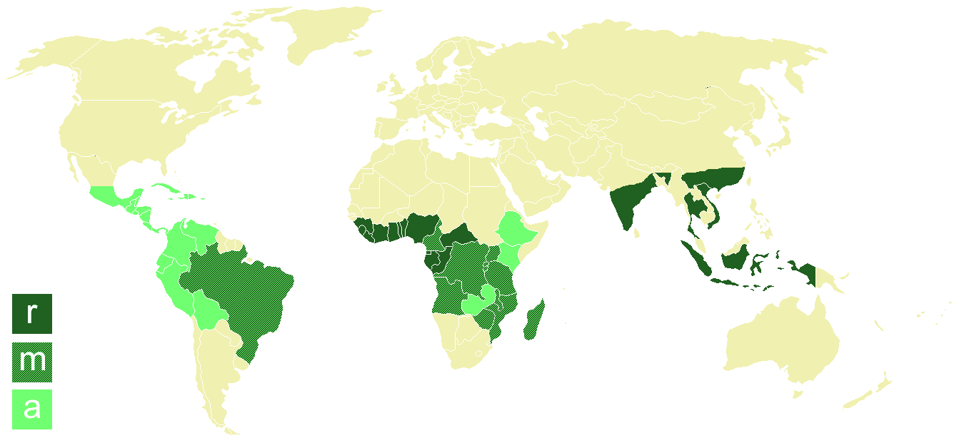 Coffee producing nations